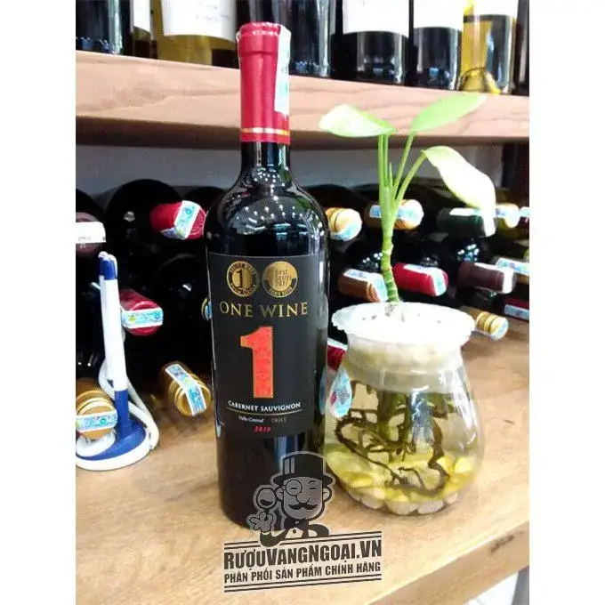Giá ruou vang chile one wine gia re nhat