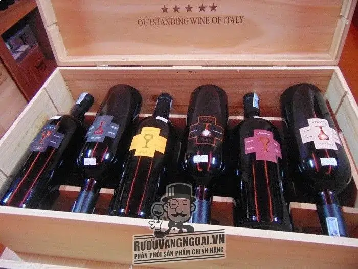 Vang Ý Chén thánh Schola Sarmenti Armentino Rosso Salento