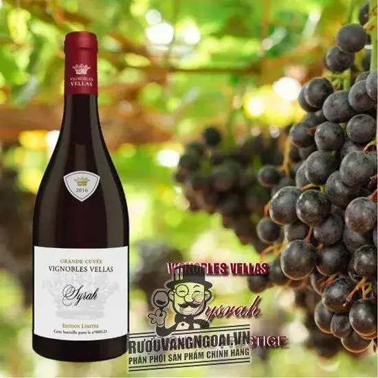 Vang Pháp VIGNOBLES VELLAS SYRAH 47 CUVEE PRESTIGE PAYS D‘OC