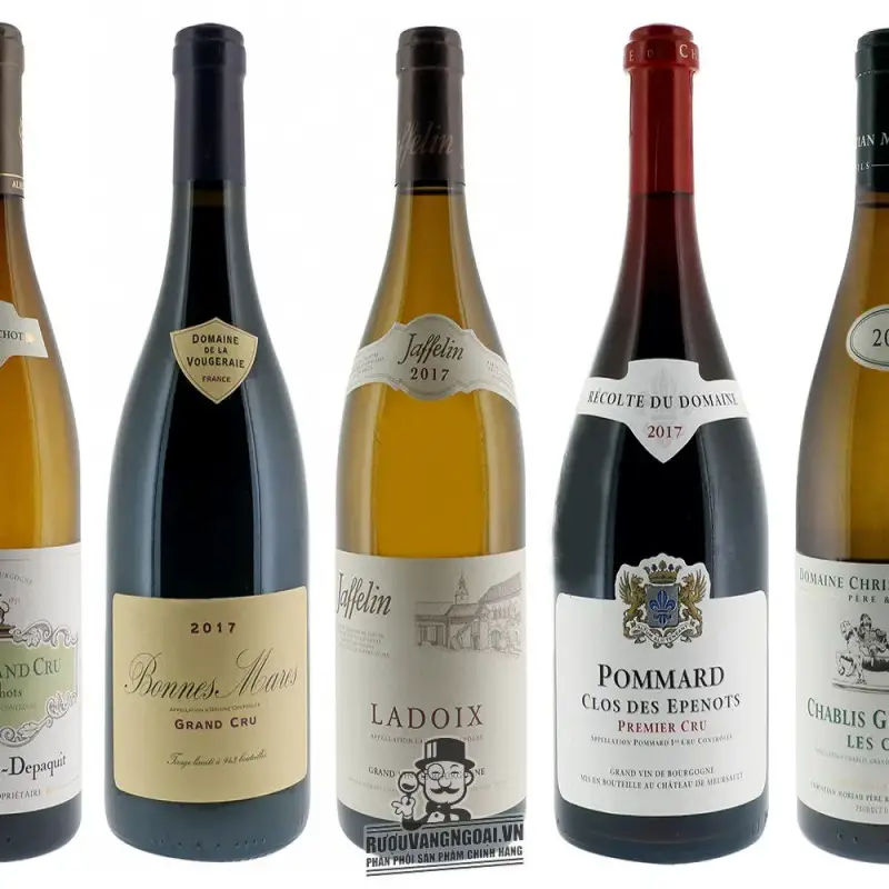 Địa chỉ mua vang phap bonnes mares grand cru albert bichot giá rẻ nhất
