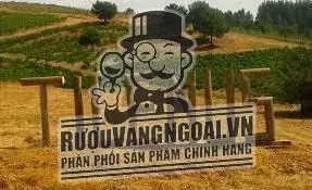 Vang Tây Ban Nha TILENUS Pieros