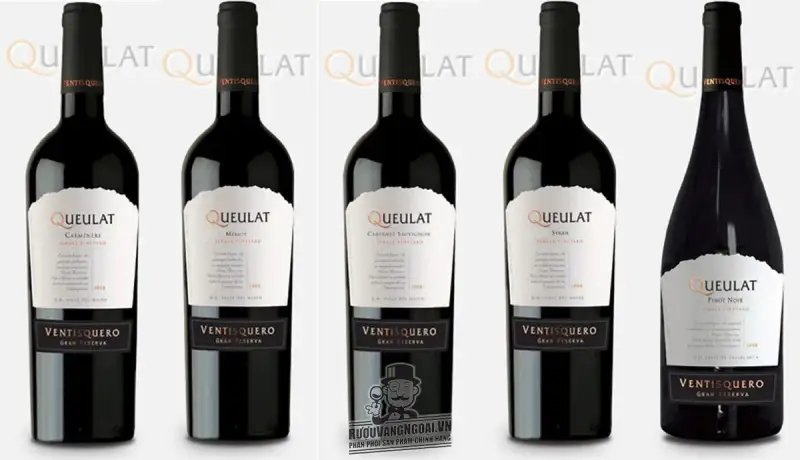 Vang Chile Ventisquero Queulat Carmenere
