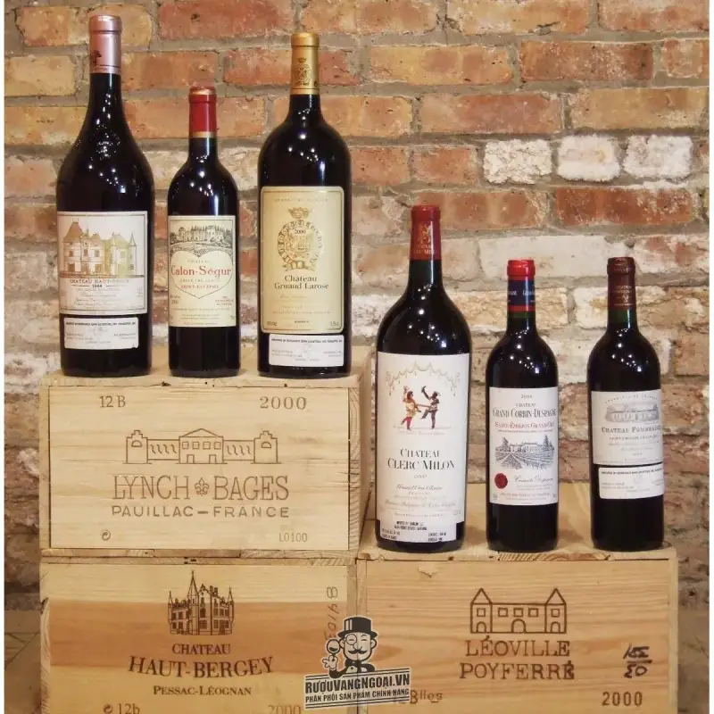 Vang Pháp CHATEAU CLERC MILON