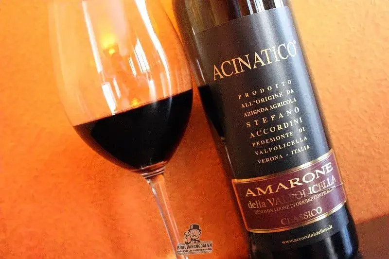 Vang Ý Acinatico Amarone Della Valpolicella