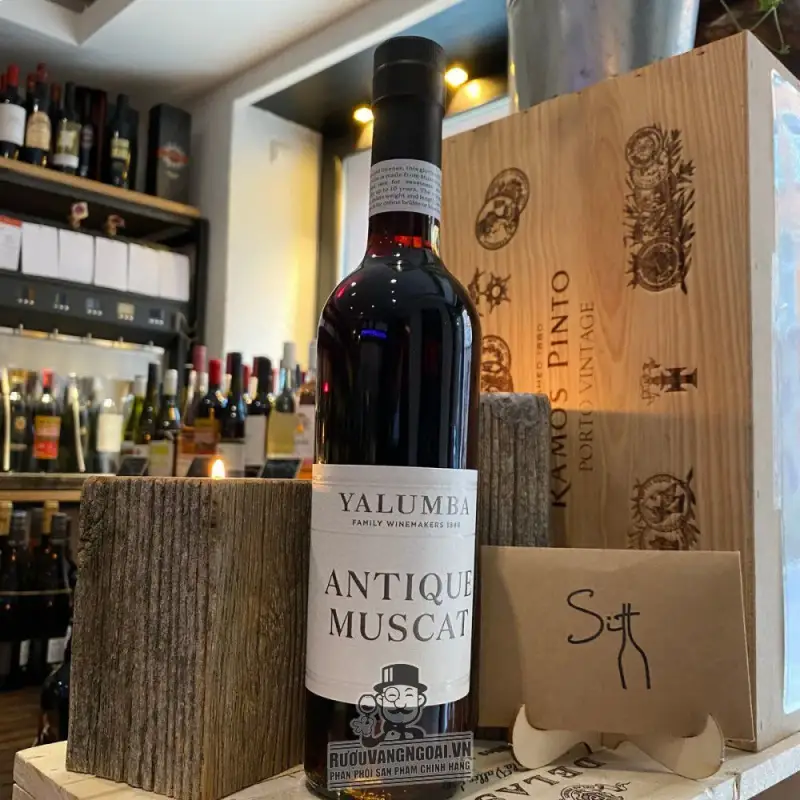 Địa chỉ bán ruou vang yalumba antique muscat giá rẻ tại Hà Nội