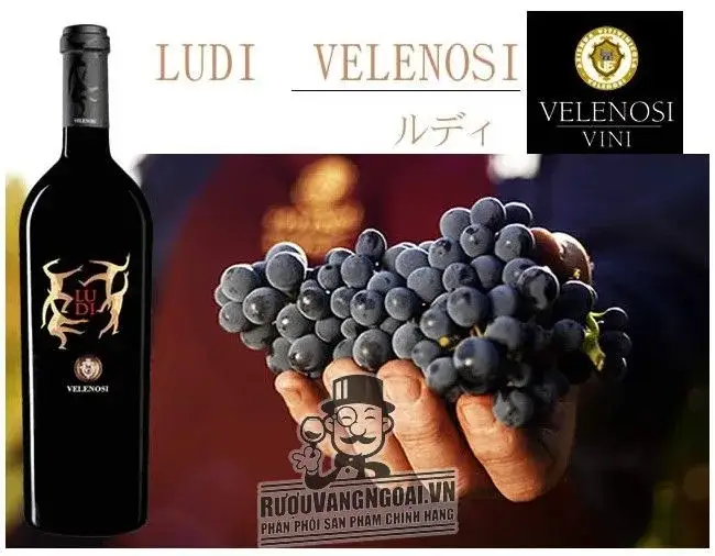 Vang Ludi velenosi biếu tết