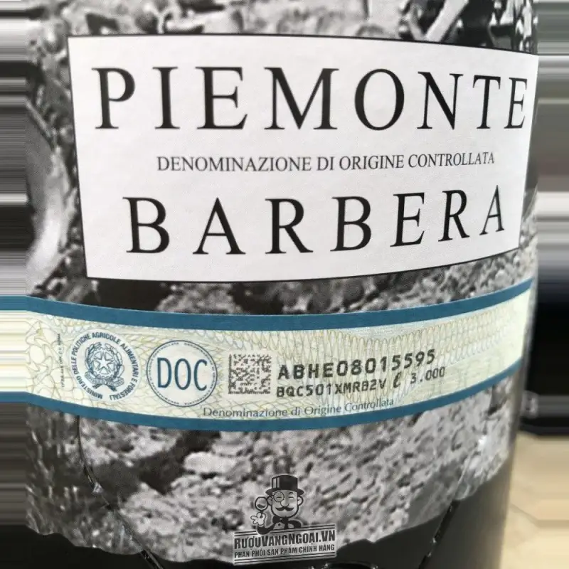 Vang Bịch Ý BOERI PIEMONTE BARBERA 3L