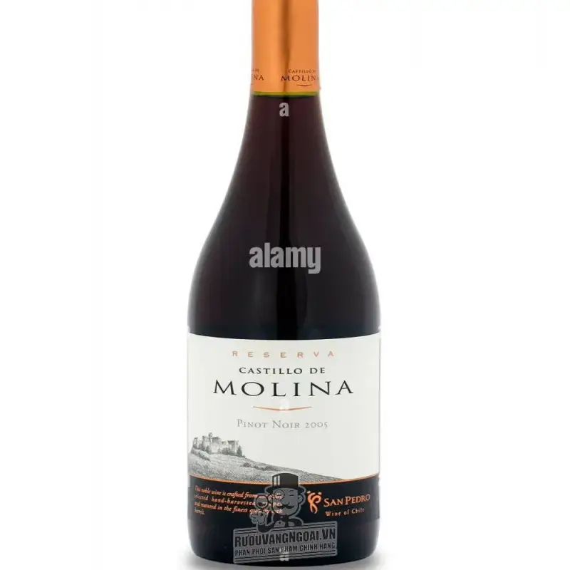 Vang Chile Castillo de Molina San Pedro Reserva Đỏ - Trắng