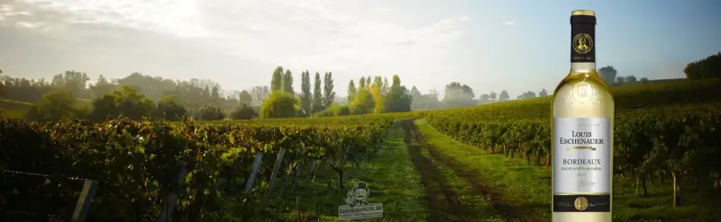 Vang trắng pháp Louis Eschenauer Bordeaux Éleve En Futs De Chene