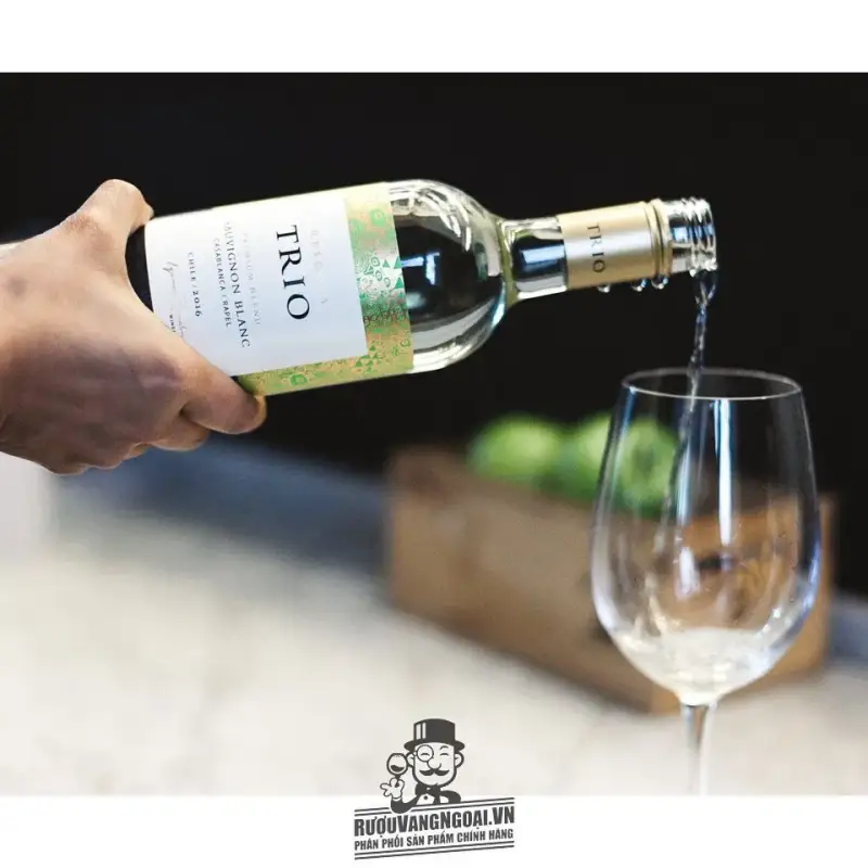 Vang trắng Chile Trio Sauvignon blanc
