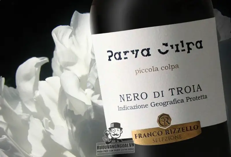 Vang ý PARVA CULPA NERO DI TROIA