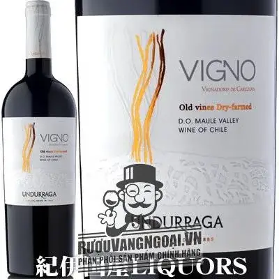 Vang Chile VIGNO UNDURRAGA