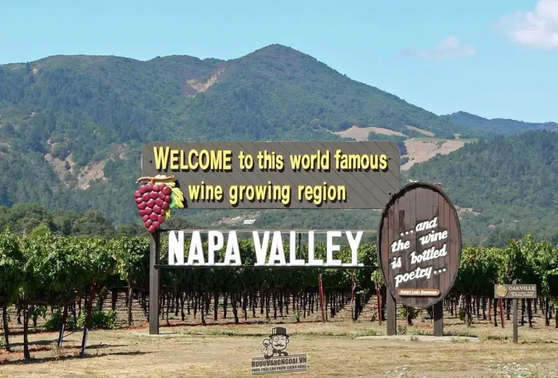 Vang Mỹ NAPA VALLEY 55 SYRAH
