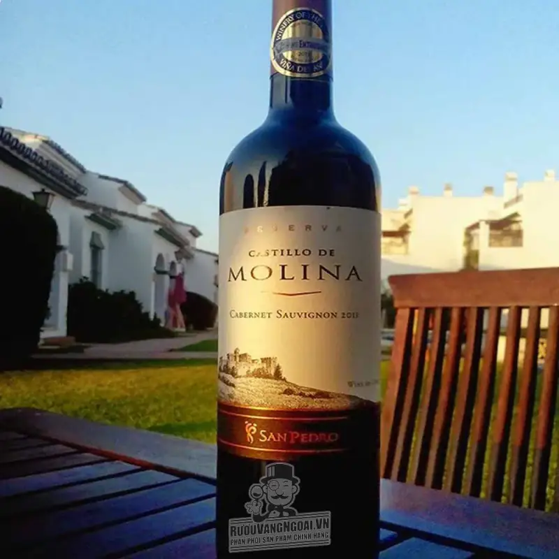 Giá vang chile castillo de molina san pedro reserva red white