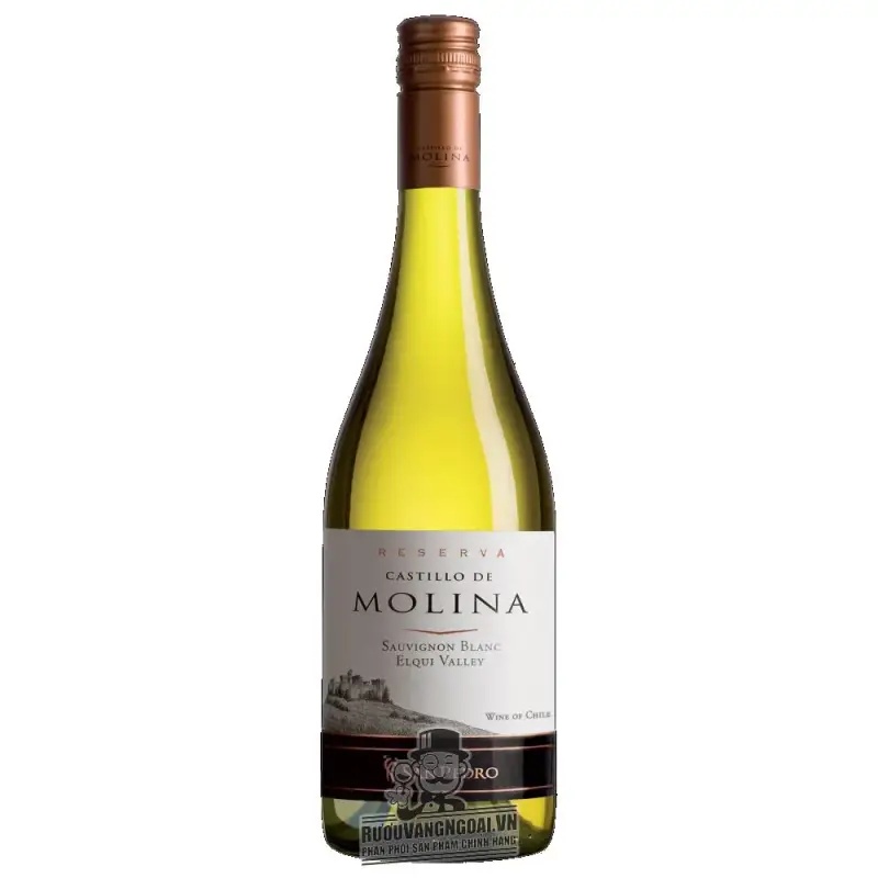 Mua vang chile castillo de molina san pedro reserva red white giá rẻ tại Hà Nội