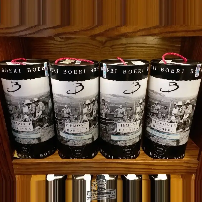 Rượu vang Bịch Ý Boeri Piemonte Barbera DOC 3L
