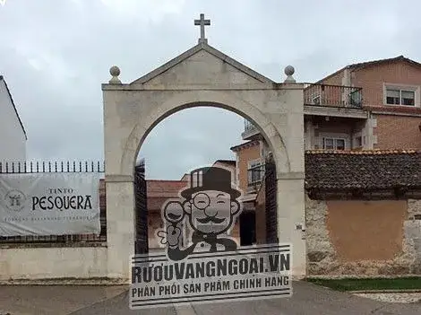 Vang Tây Ban Nha TINTO PESQUERA MILLENIUM
