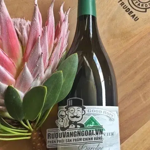 Vang Nam Phi CAPE OF GOOD HOPE RIEBEEKSRIVIER CAROLINE
