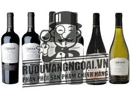 Vang Chile Ventisquero Queulat Cabernet Sauvignon