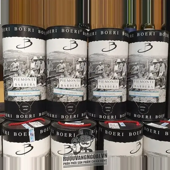 Rượu vang Bịch Ý Boeri Piemonte Barbera DOC 3L