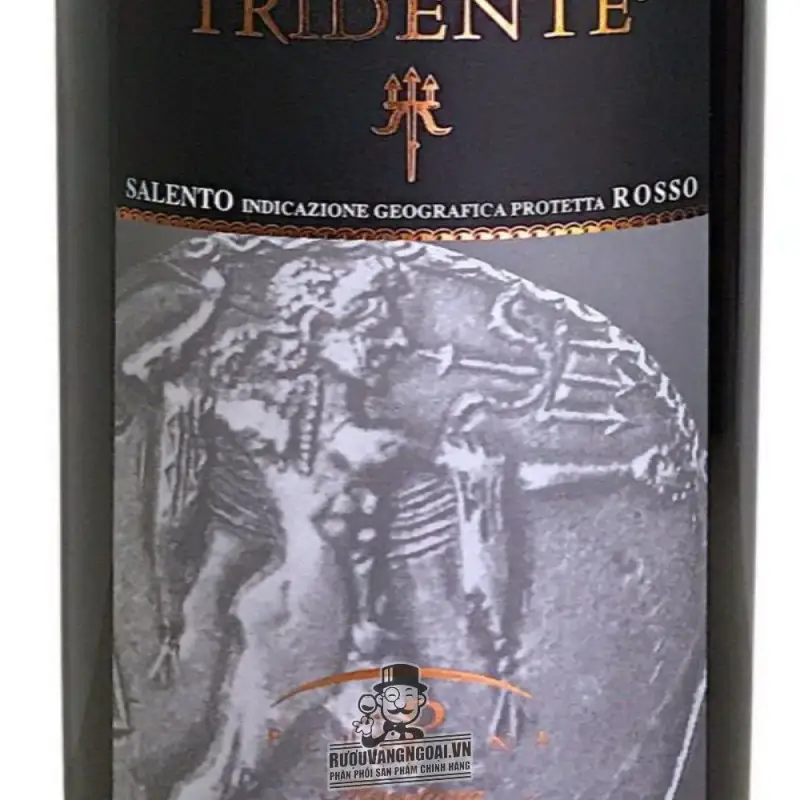 Vang Ý Tridente Salento Rosso IGP