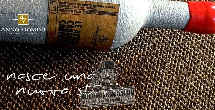 Rượu vang Ý Xi măng LE ARGILLE CABERNET DI CABERNET