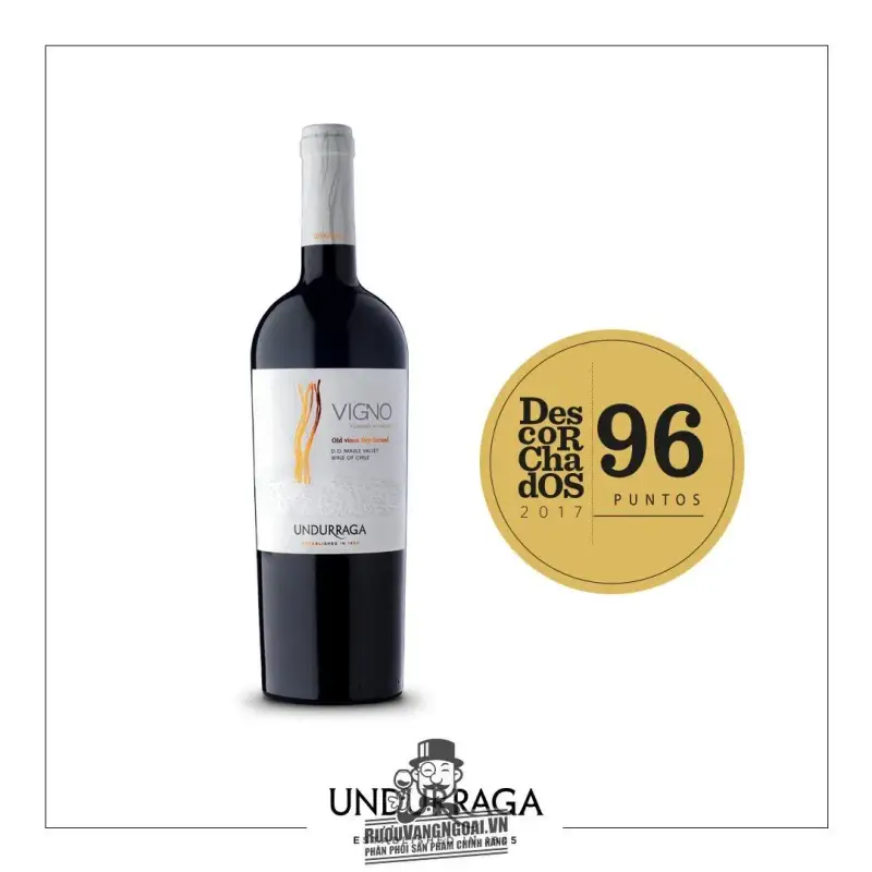 Vang Chile VIGNO UNDURRAGA
