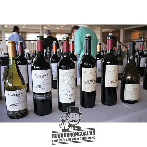 Catena Alta Cabernet Sauvignon Malbec