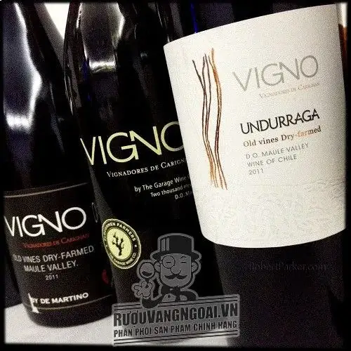 Vang Chile VIGNO UNDURRAGA