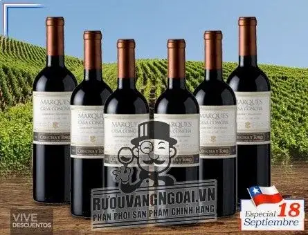 Vang chile CONCHA Y TORO MARQUES CASA CONCHA Cabernet Sauvignon
