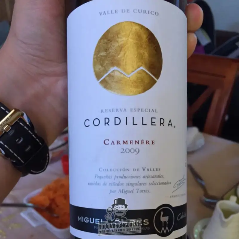 Mua vang chile cordillera carmenere migeul torres giá rẻ tại Hà Nội